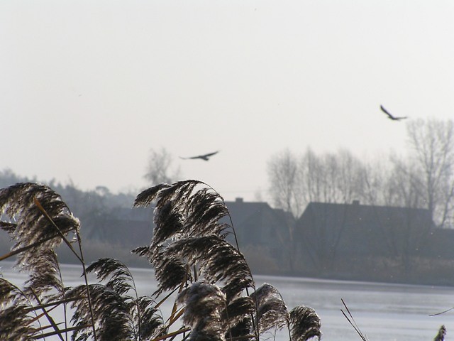 zima...brrr.