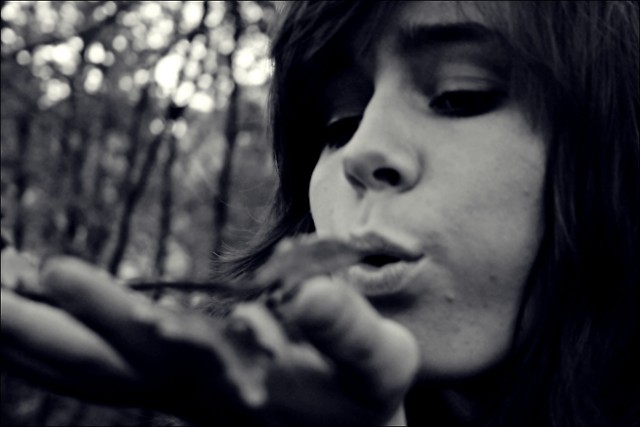 Wpis gdulusxd