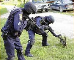 Swat