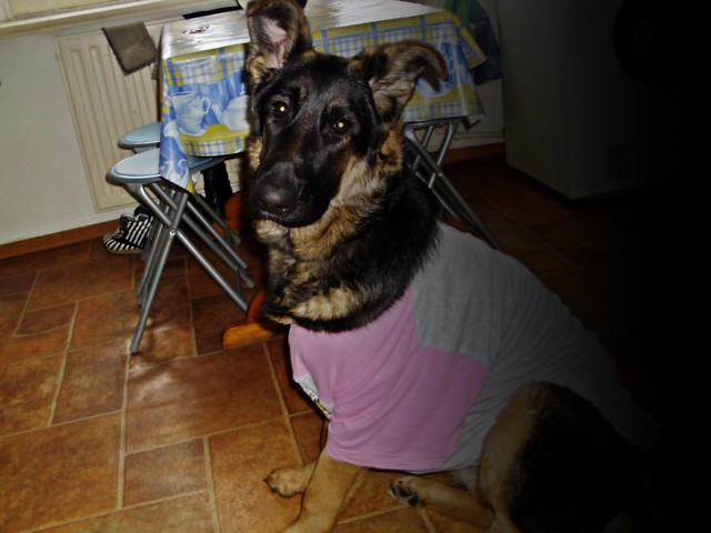 Wpis fafloczyna