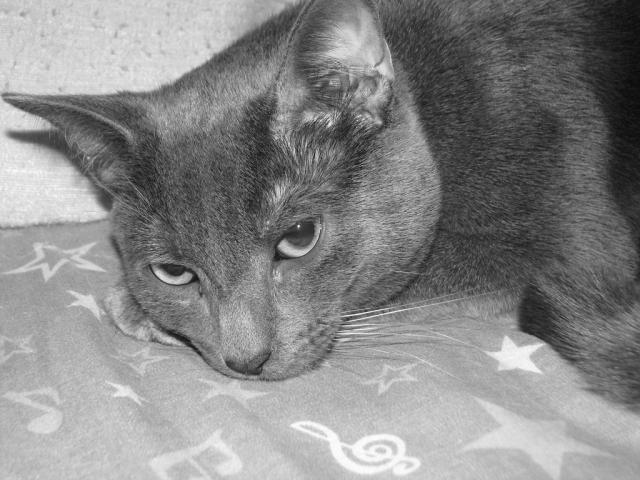 Avu. < 3