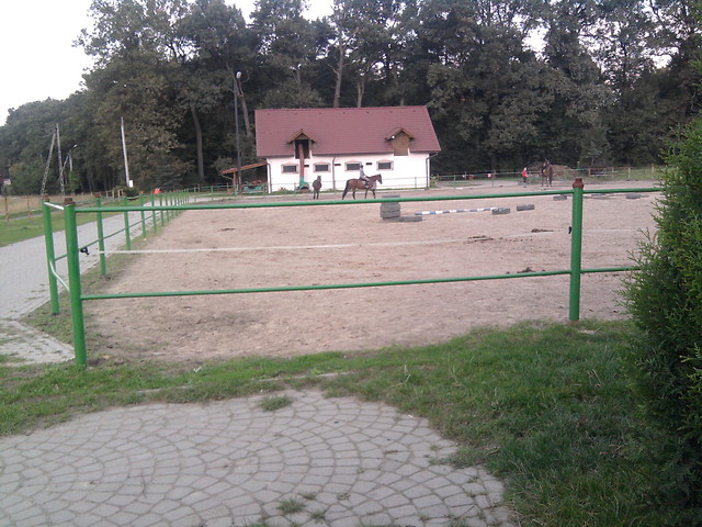 Wpis tobiano