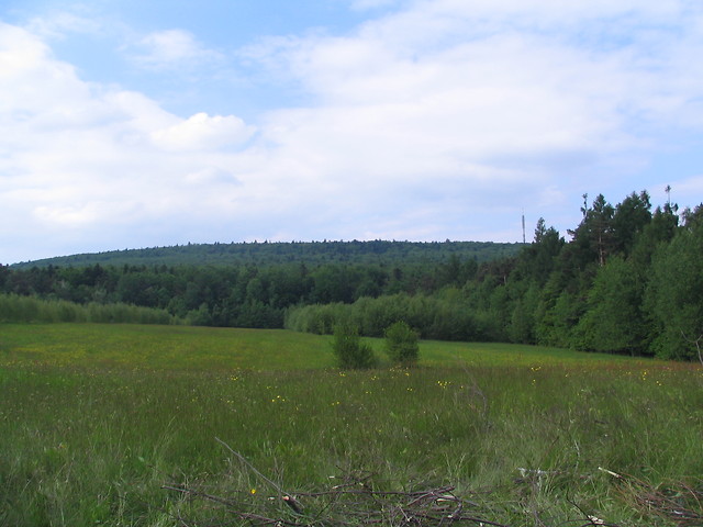 2011