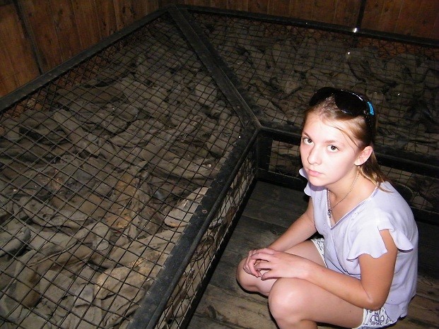 Majdanek and I