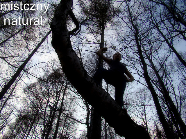 Wpis mistycznynatural