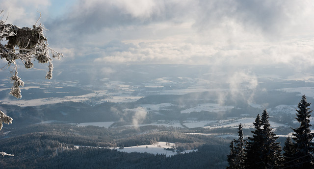 Wpis wiktorzee