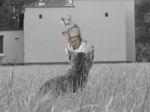 Wpis madziaka4