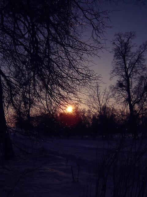 Wpis lutfinia
