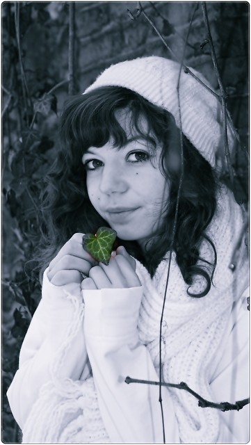 Wpis fredsonova