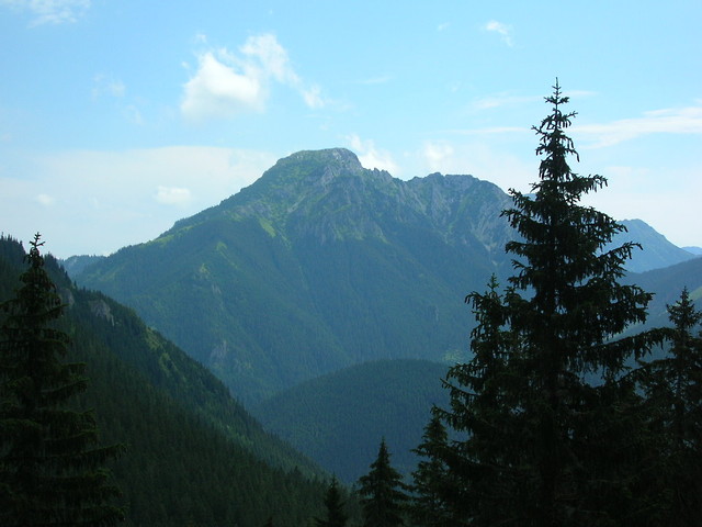 Wpis marko174