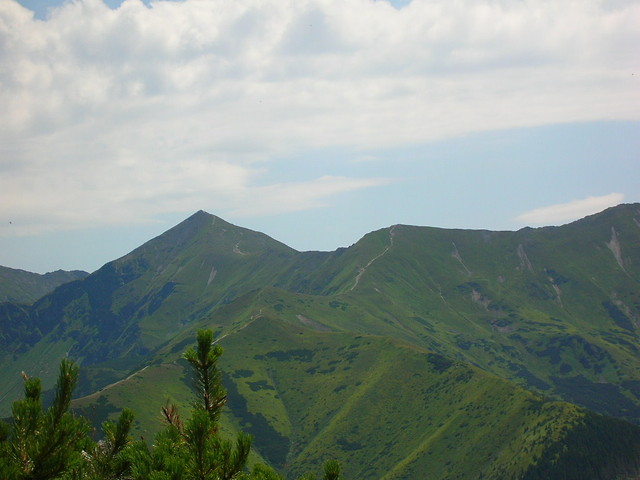 Wpis marko174