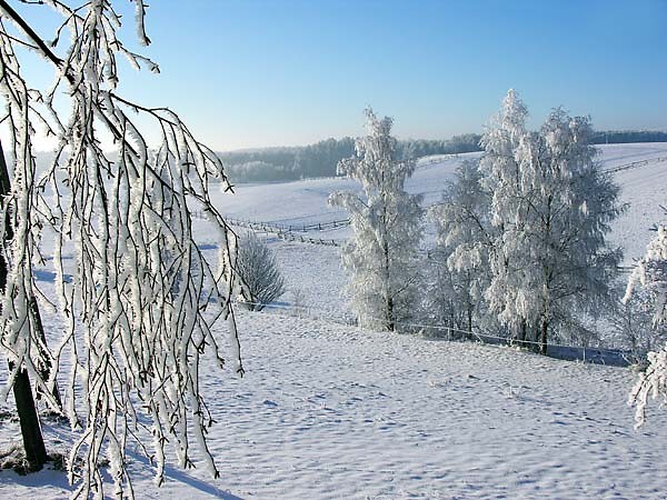 zima