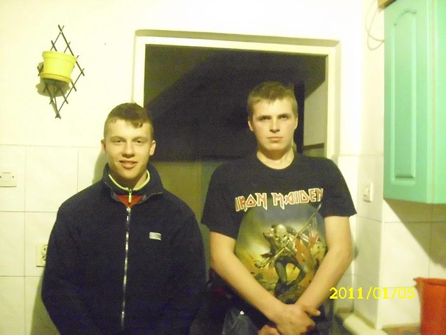 Gerbery!!!
