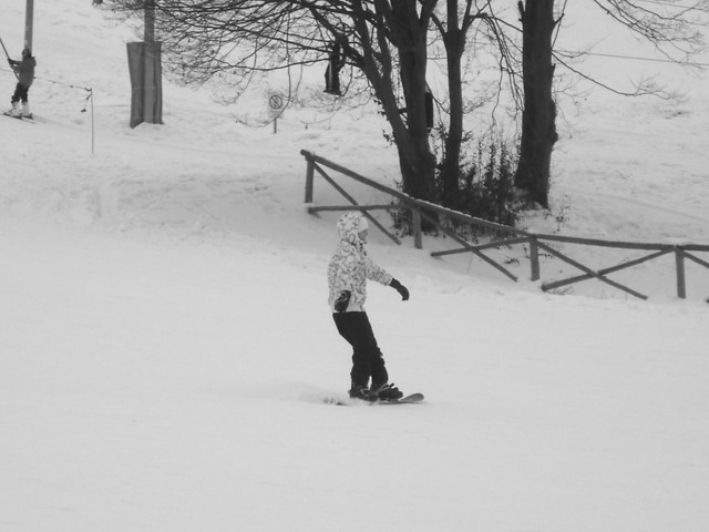 Snowboard 