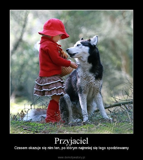 Przyjaciel 