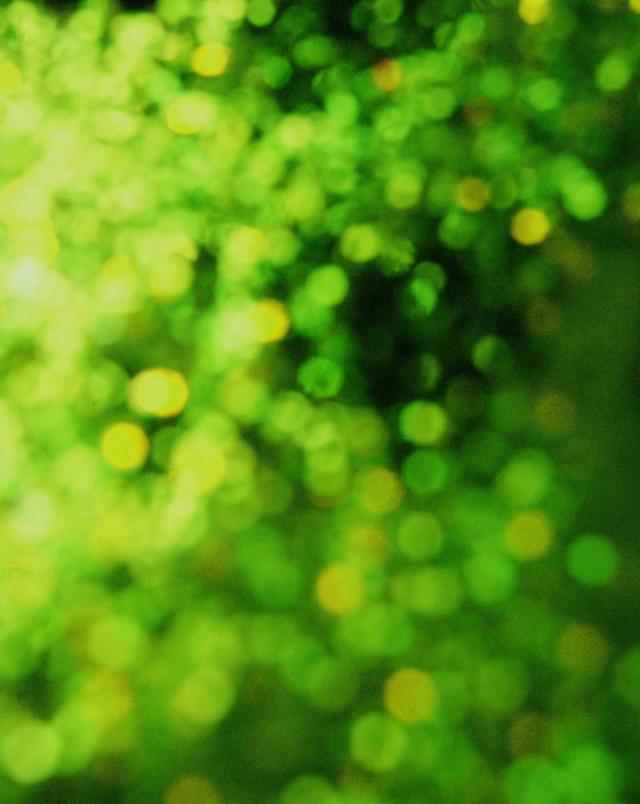 glitter