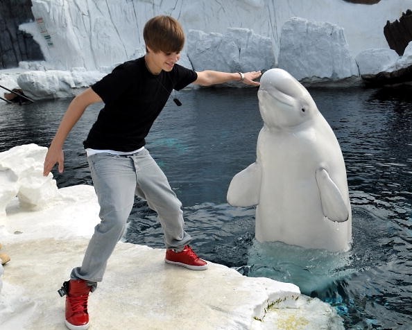 Wpis justinusbieberus