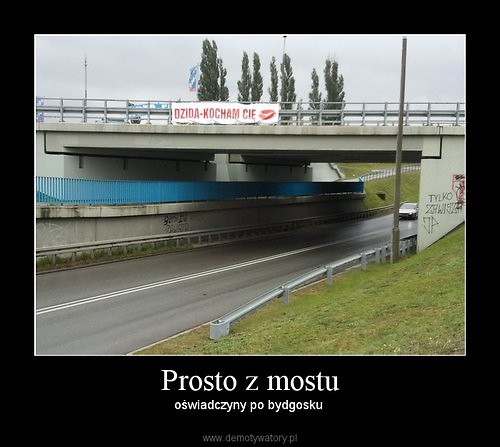 Wpis brrydzia