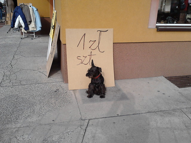 q; Promocja :p