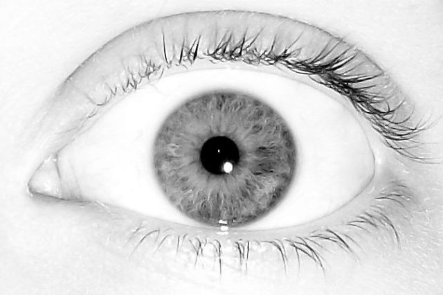 my eye.