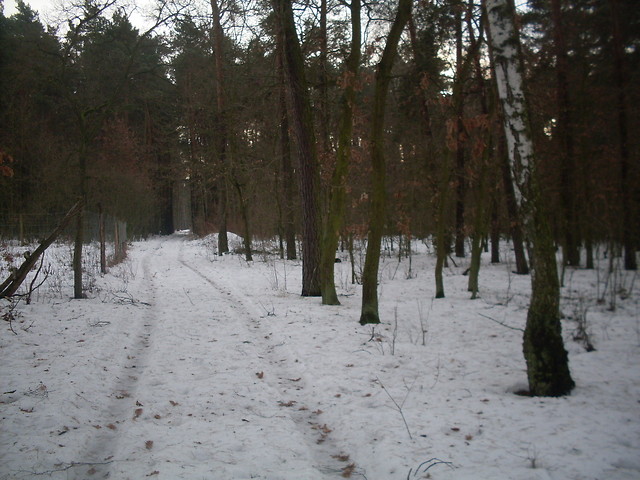 laas.