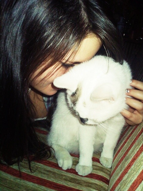 Wpis x33annx33