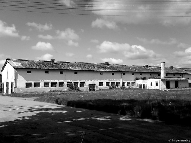 2010-09-01 cowshed II