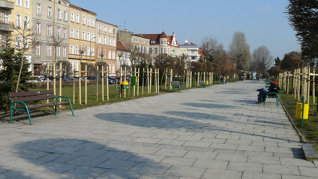 GRUDZIDZKIE PLANTY