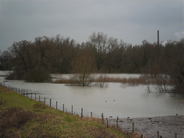 Holandia