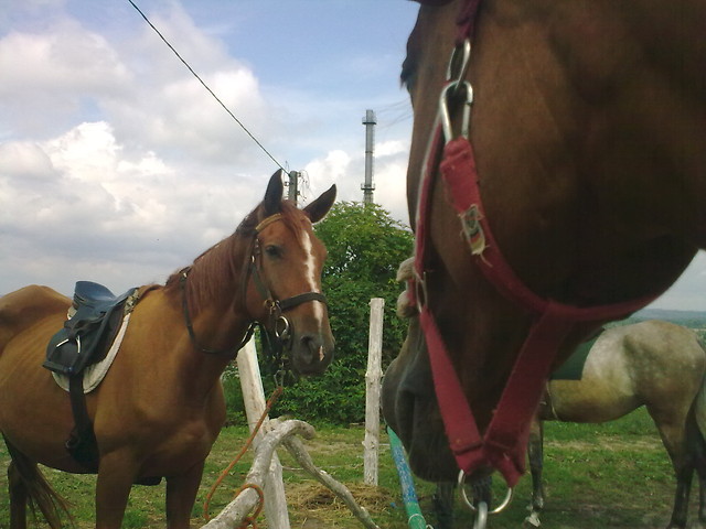 Lubie To !