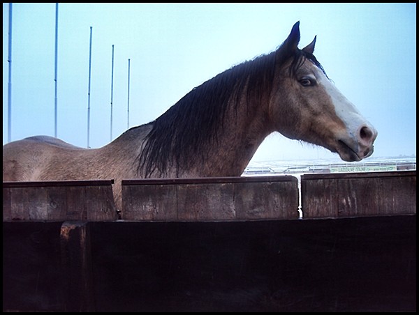 Wpis hugon1999
