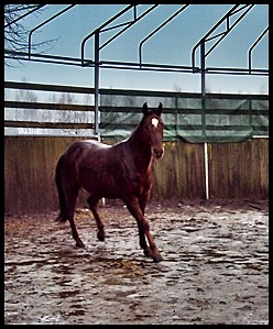 Wpis hugon1999