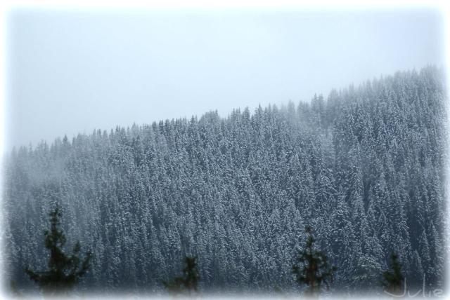 Zima, Tatry