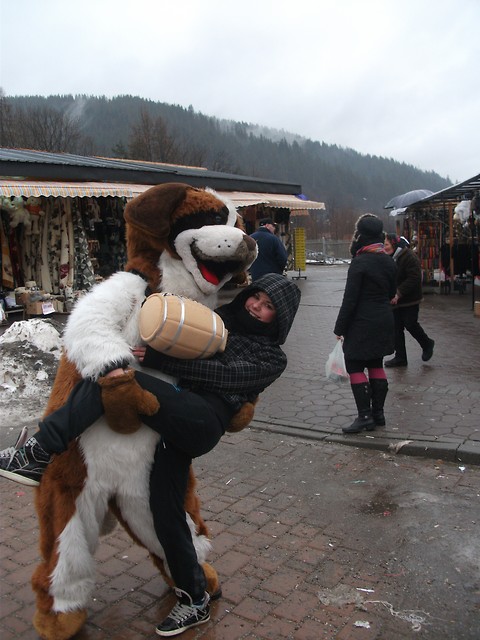 Bukowina 2011