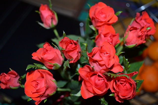 Wpis floralys