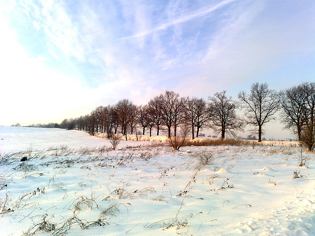 Wpis elliewood