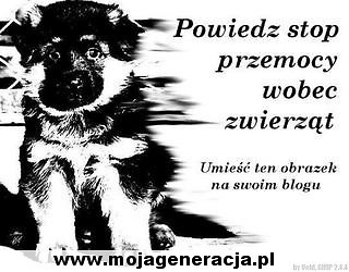 STOP!!!