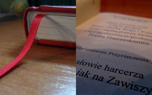 Wpis jaknazawiszy