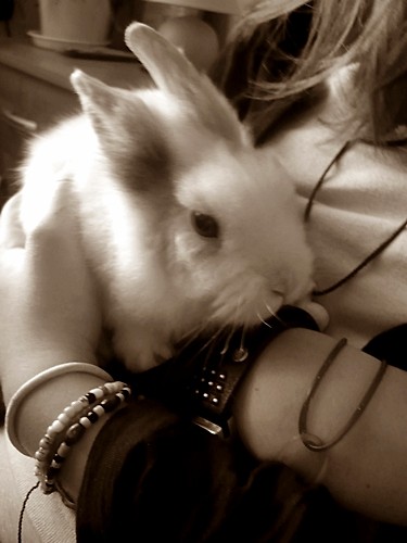 Charlu$$$ :*