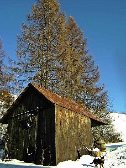 Wpis kluuseczkaa