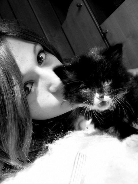 Wpis ppaauull