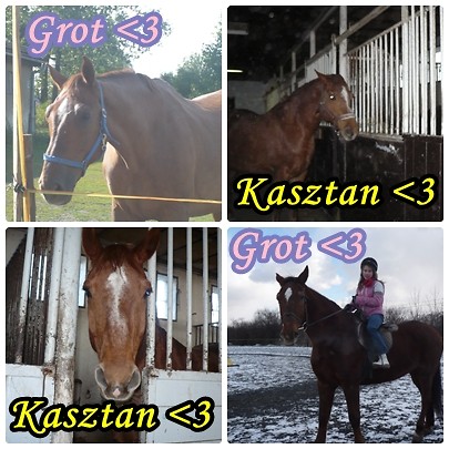 Porownanie ;d