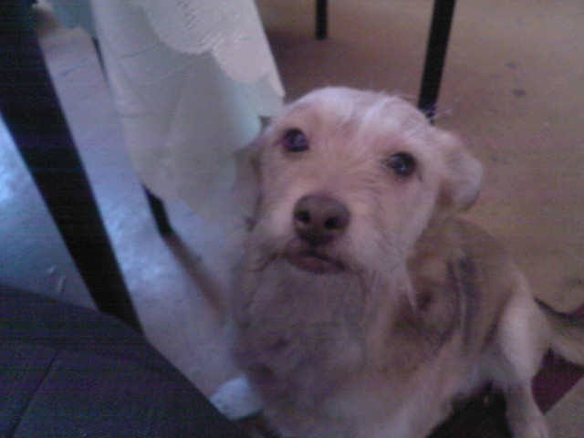 Sonia:)