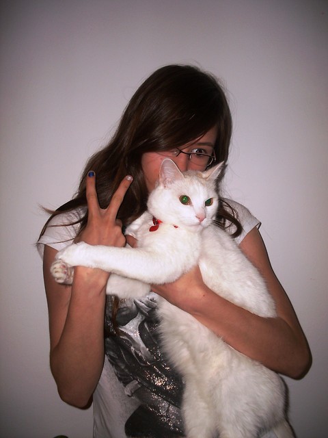 kotek ;**