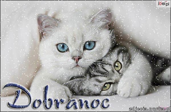 dobranoc