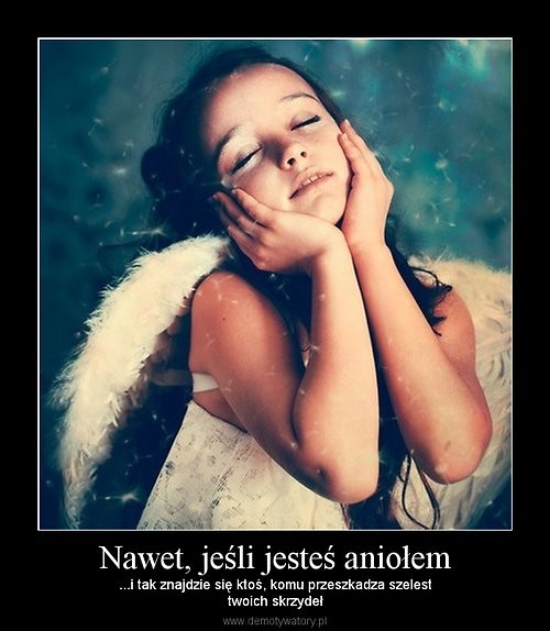 Wpis julek14