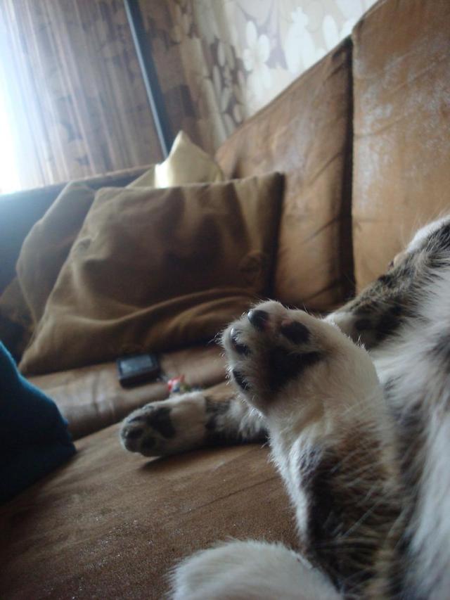 mi.