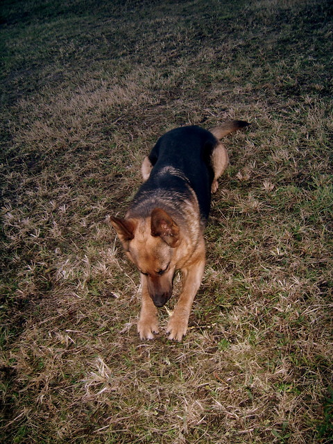 Azka ;))
