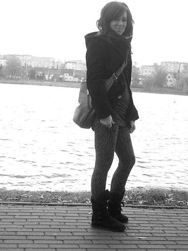 Wpis celnystrzal