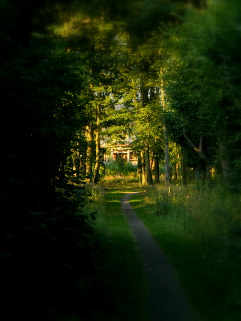stary park